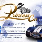 logo princess car